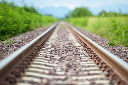 Ciliegie Ferrovia di Conversano